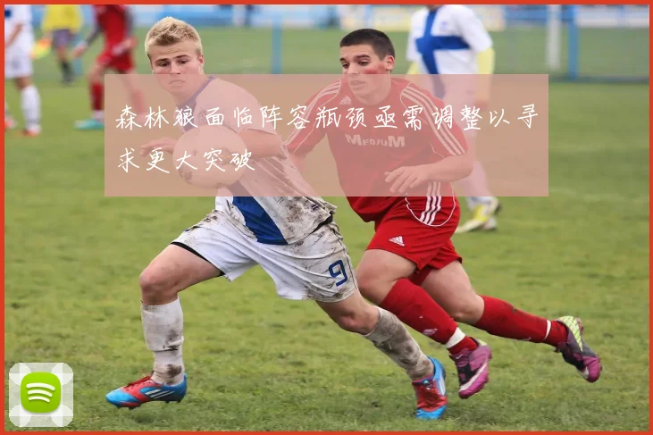 森林狼面临阵容瓶颈亟需调整以寻求更大突破